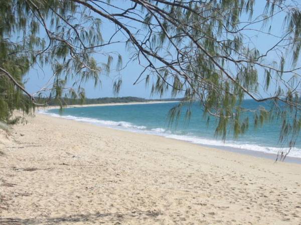 ONLY VACANT LAND WITH OCEAN VIEWS Picture 3