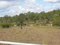 RURAL ACREAGE CLOSE TO CHILDERS $120,000 Picture