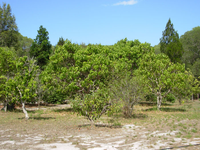 Private Deep River Frontage - Can Be All Yours!! Picture 3