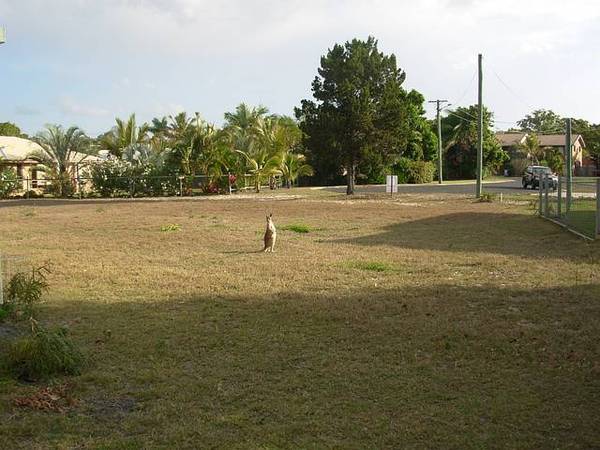 Vacant Land with a 'WOW' Factor Picture 1