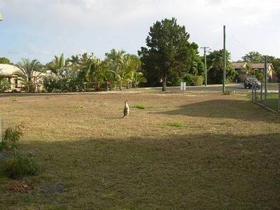 Vacant Land with a 'WOW' Factor Picture