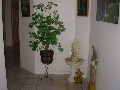 BEAUTIFUL HOME - FULLY FURNISHED Picture