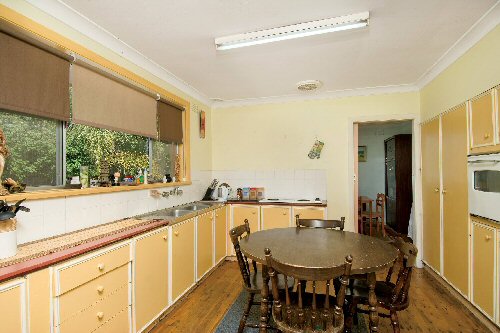 WOW . . .
What a Find! Picture WOW . . .
What a Find! Picture