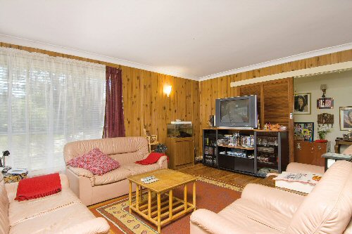 WOW . . .
What a Find! Picture WOW . . .
What a Find! Picture