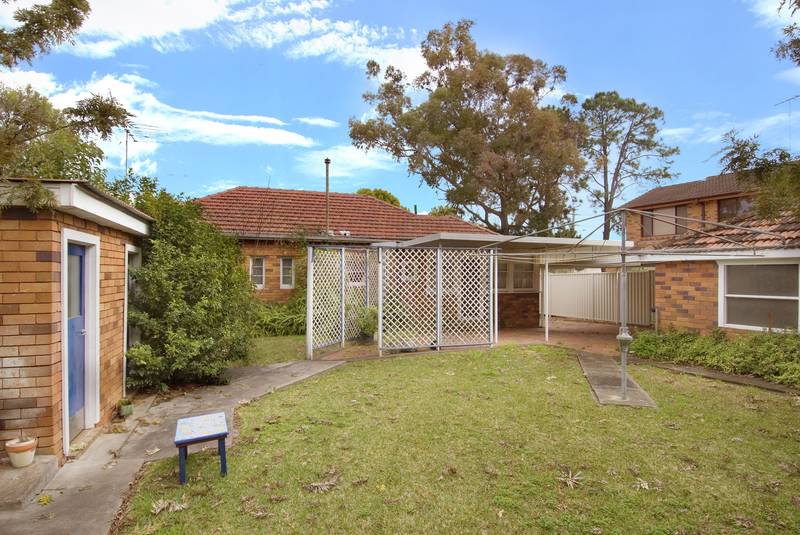 RAW CHARACTER Picture 3