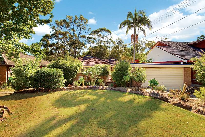 What more could you want? Picture 1