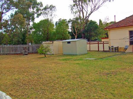 The Dream . . . Picture 3