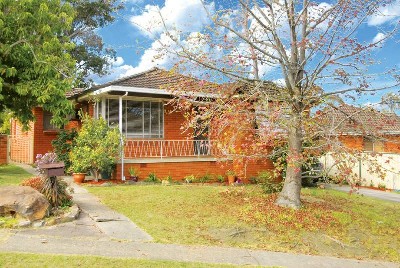 EXCITEMENT IS . . . Picture