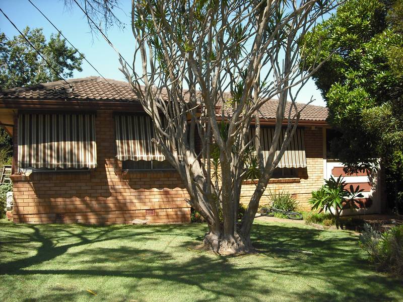 Well located 3 bedroom home in quiet leafy street Picture 1