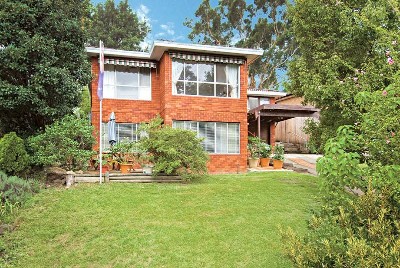 BE SURPRISED BY THE EXTRAS Picture BE SURPRISED BY THE EXTRAS Picture