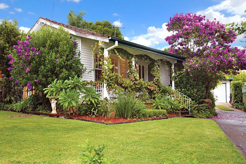 Live Your Dream . . . Picture 1