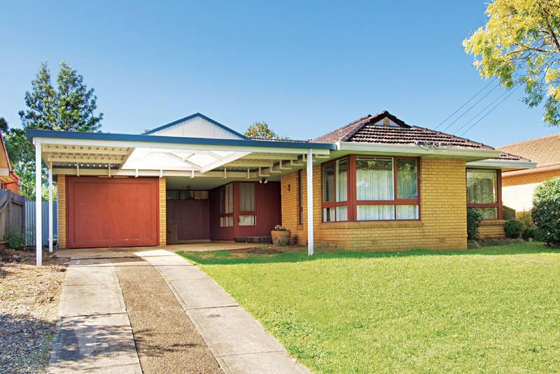 Affordable Entertainer Picture 1