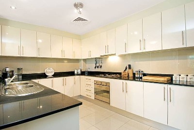 A Rose amidst the thorns Picture