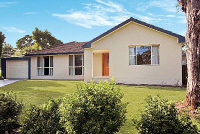 A Rare Find . . . Picture A Rare Find . . . Picture