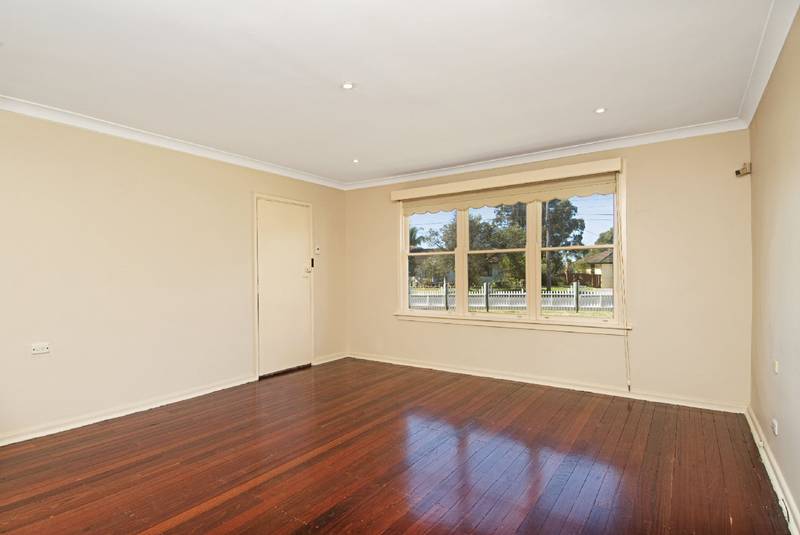 A Brilliant Beginner . . . Picture 3