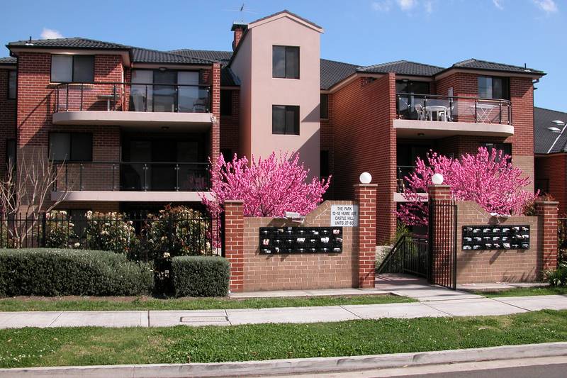 You won't be Disappointed . . . Picture 1