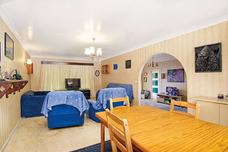 A Brilliant Beginner . . . Picture 2