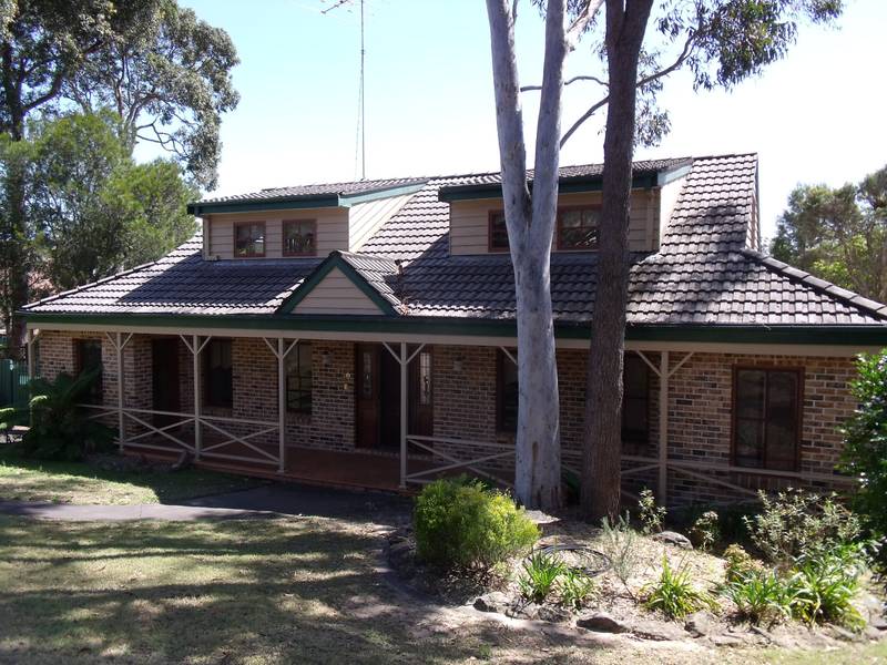 Lovely bush surrounds Picture 1