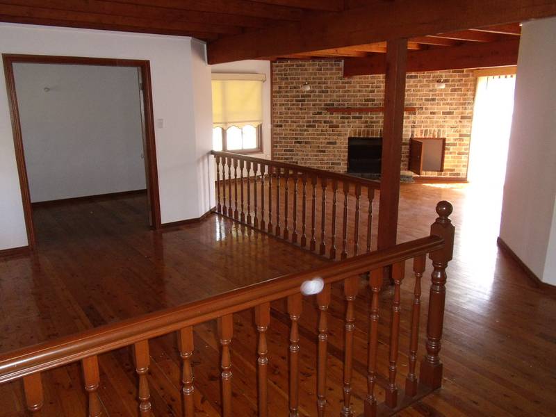 Lovely bush surrounds Picture 3