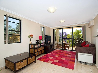 Overlooking Treetops Picture