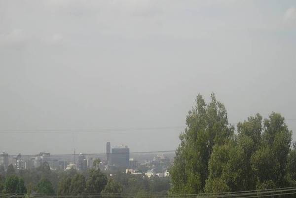 BIG TIMBER KITCHEN Picture 3