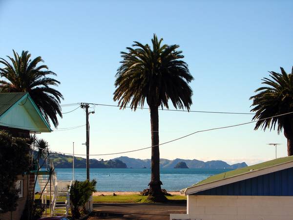 100% Pure Lifestyle Picture 3