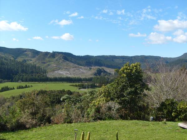 WOW - 15 HECTARES BELOW VALUATION!! Picture 1