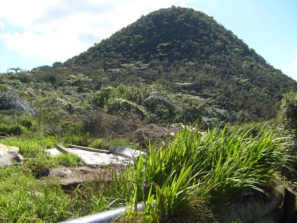 WOW - 15 HECTARES BELOW VALUATION!! Picture 3