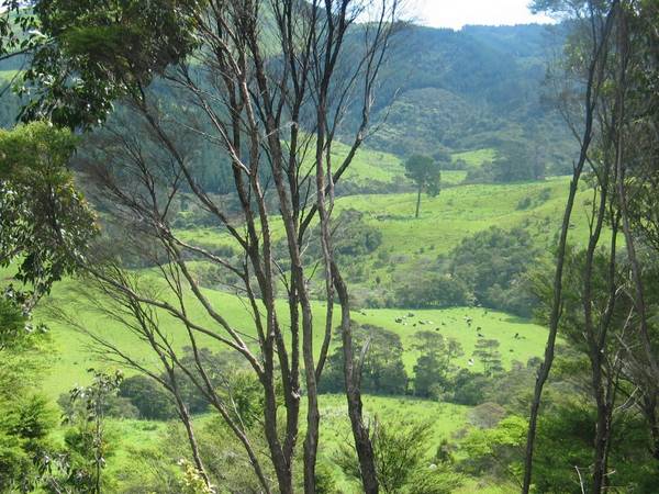 Secluded Hideaway Picture 3