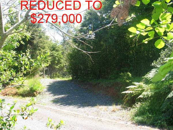 Secluded Hideaway Picture 2