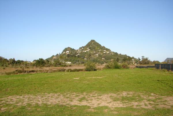 Wide Open Opportunity Picture 1