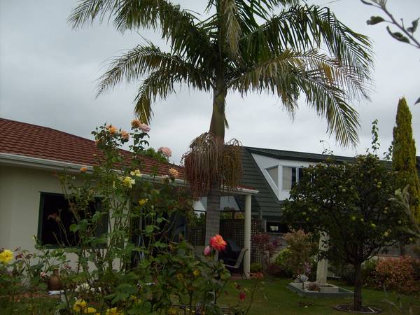 Residence Supreme! Picture 2