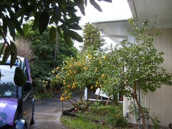 It's Hard to Be Humble.... Picture 3