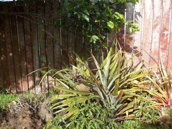 It's Hard to Be Humble.... Picture 2