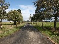 GREENSLOPES - 128 ACRES - PRIVATE & PEACEFUL - CREATE YOUR LIFESTYLE GETAWAY Picture