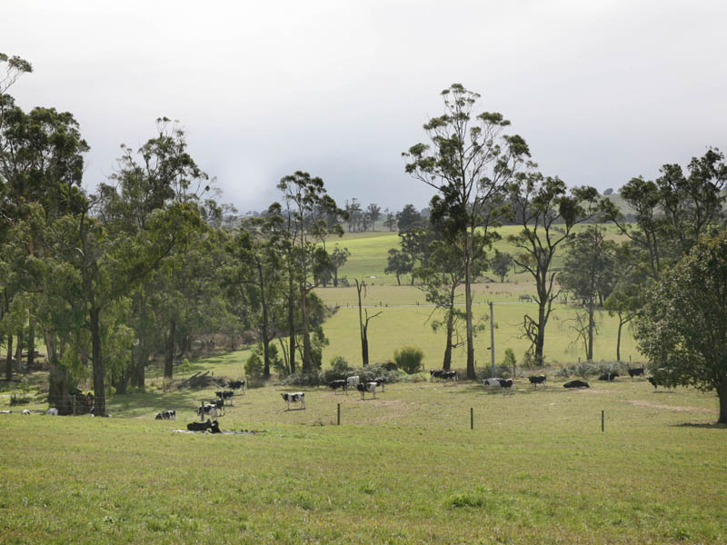 GREENSLOPES - 128 ACRES - PRIVATE & PEACEFUL - CREATE YOUR LIFESTYLE GETAWAY Picture 2