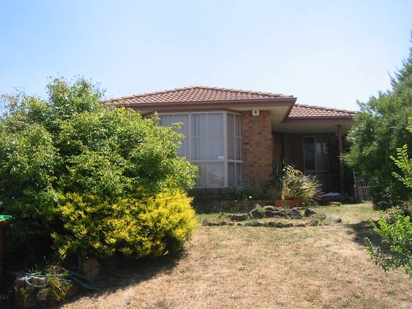 EASY TO MAINTAIN YARD Picture 1