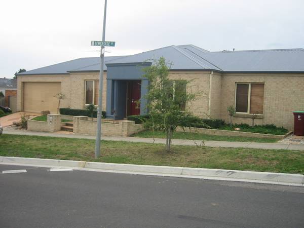 DO YOU WANT ONE WITH THE LOT? Picture 1