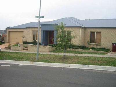 DO YOU WANT ONE WITH THE LOT? Picture