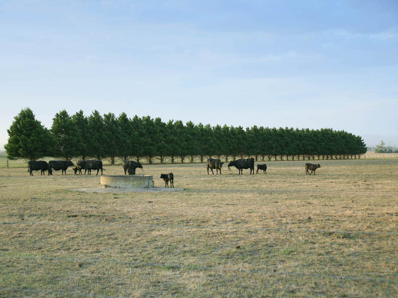 THE VERY ESSENCE OF COUNTRY LIFESTYLE WITH CITY COMFORTS Picture 3