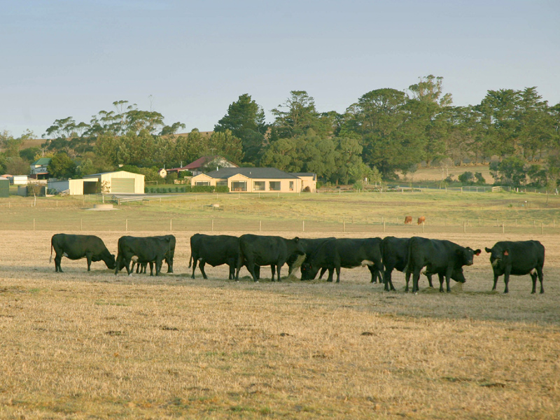 THE VERY ESSENCE OF COUNTRY LIFESTYLE WITH CITY COMFORTS Picture 1