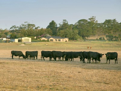 THE VERY ESSENCE OF COUNTRY LIFESTYLE WITH CITY COMFORTS Picture THE VERY ESSENCE OF COUNTRY LIFESTYLE WITH CITY COMFORTS Picture