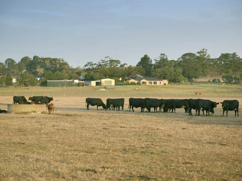 THE VERY ESSENCE OF COUNTRY LIFESTYLE WITH CITY COMFORTS Picture 1