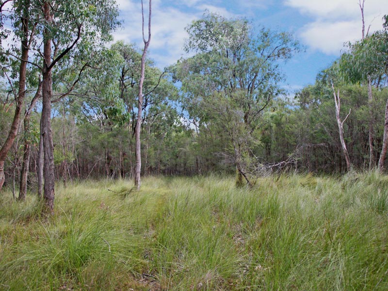 FINAL OPPORTUNITY Picture 1