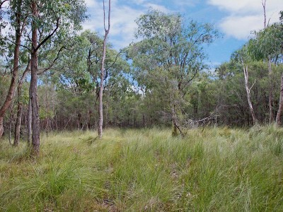 FINAL OPPORTUNITY Picture