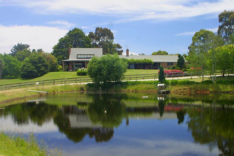 ONE OF ITS KIND Picture 1