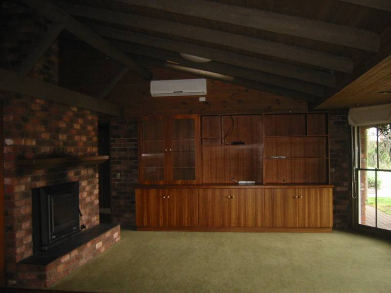 ONE OF ITS KIND Picture 3