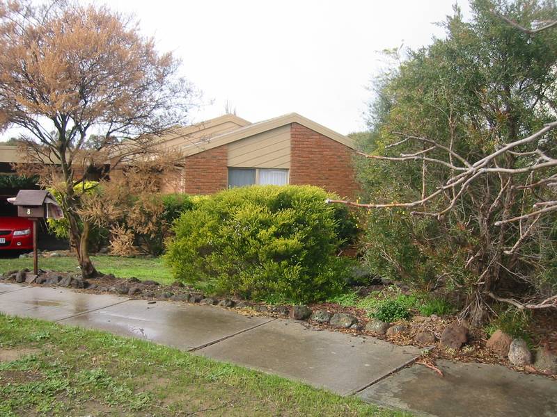 YES, YES, YES Picture 2