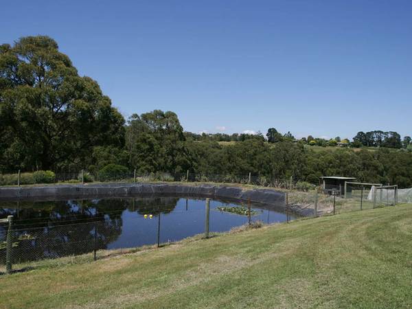 DOWN A COUNTRY LANE - IDYLLIC 16.5 ACRE FARMLET Picture 2