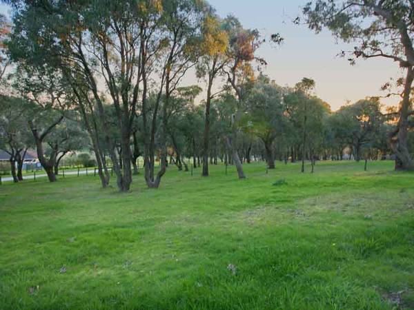 4.75 ACRE LIFESTYLE HAVEN IN SOUGHT AFTER SUGARLOAF ROAD LOCALE Picture